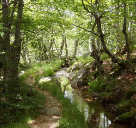 Hameau Felgerolles