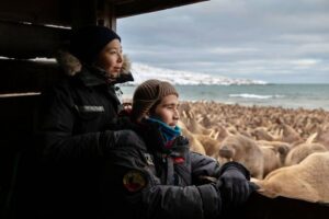 RENCONTRES TERRA NOSTRA : HAULOUT