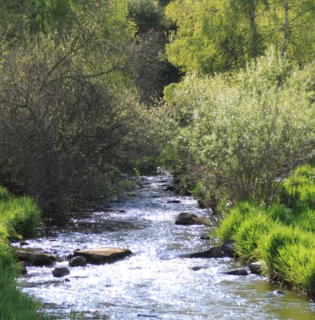 Truyère