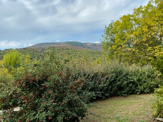 LA COUTINELLE, Ventalon en Cévennes - photo 5