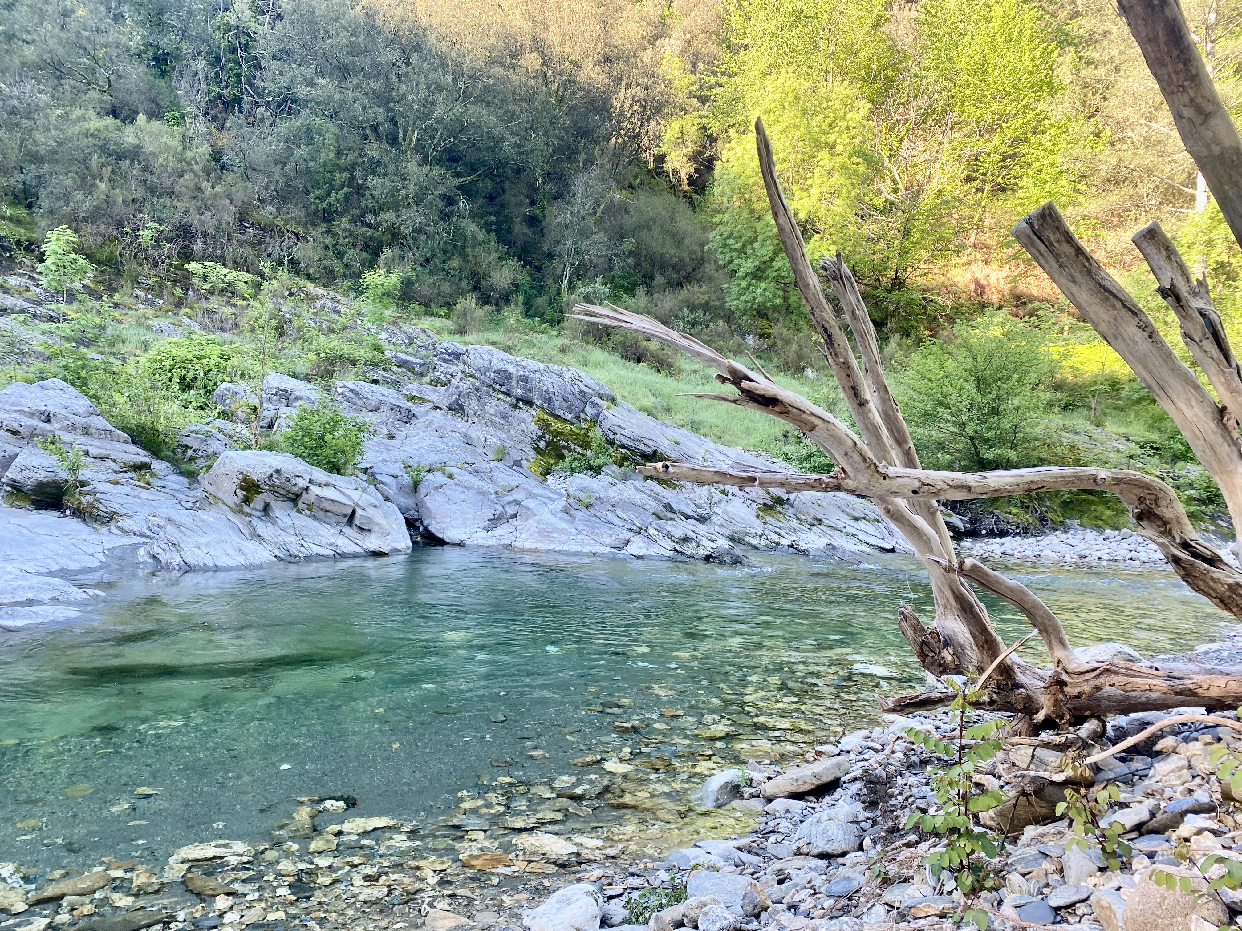 SEVEN CAMP - LE MARTINET