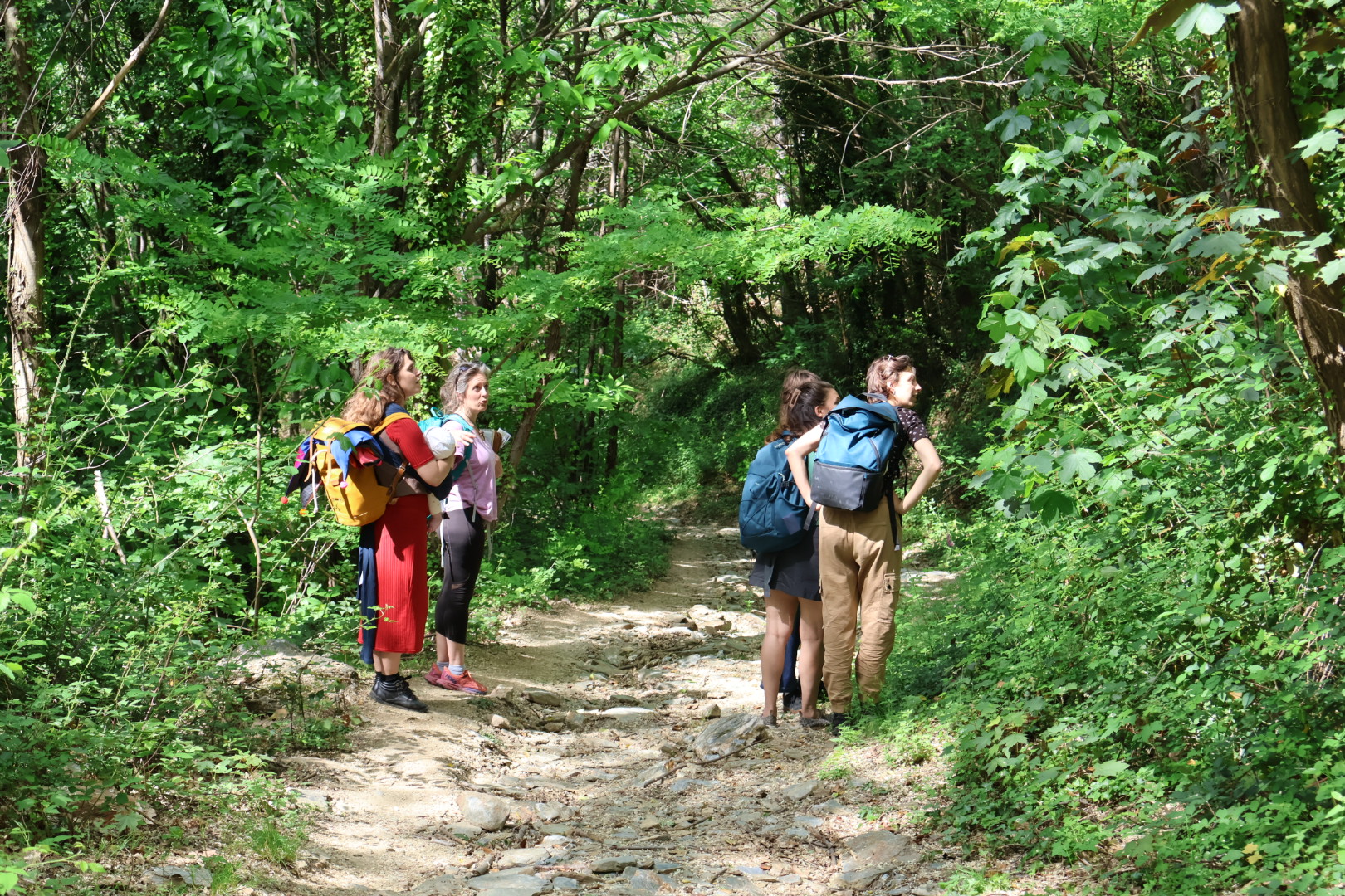 NATURALOHA : DÉCOUVERTE DES CÉVENNES À PIED, Barre-des-Cévennes - photo 4