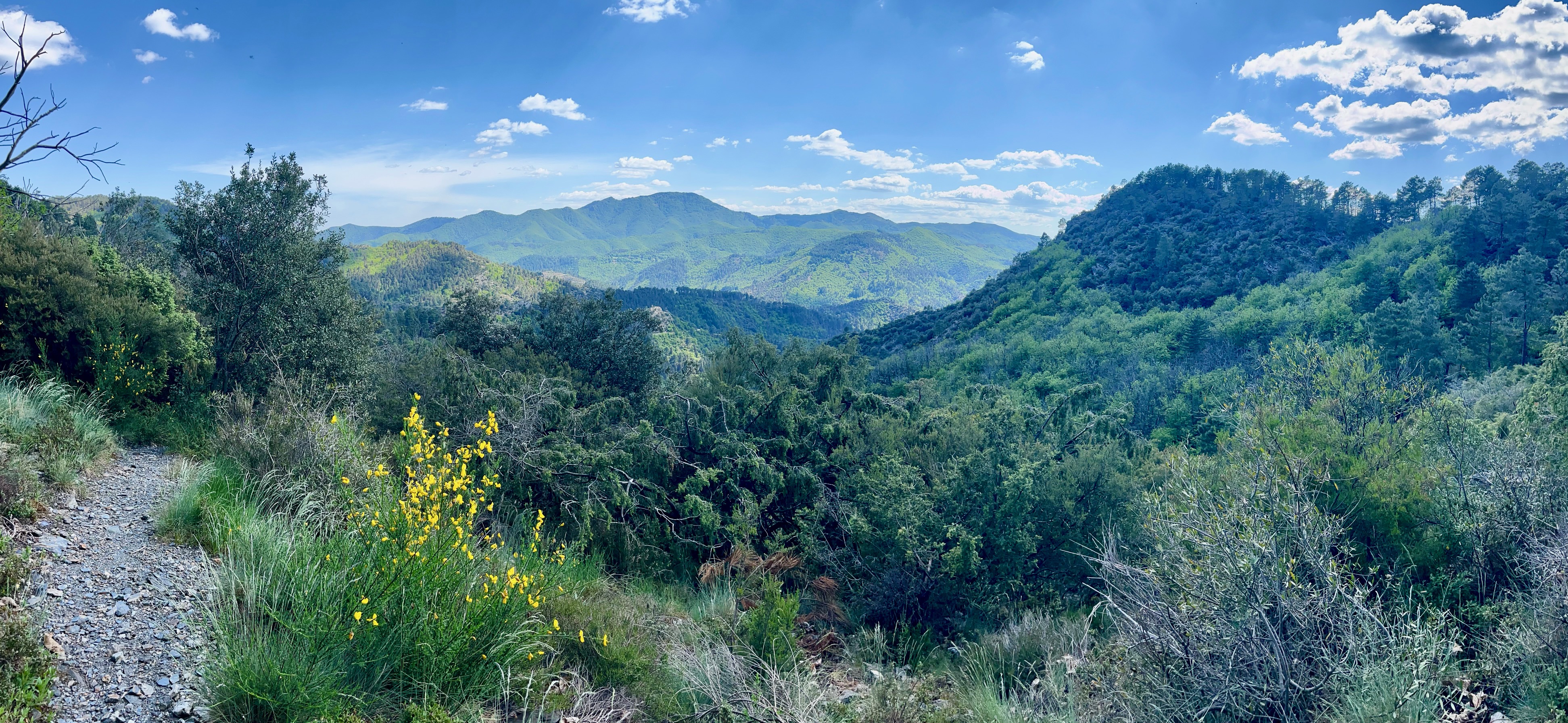 NATURALOHA : DÉCOUVERTE DES CÉVENNES À PIED — Prestataires d'activités à Lozère