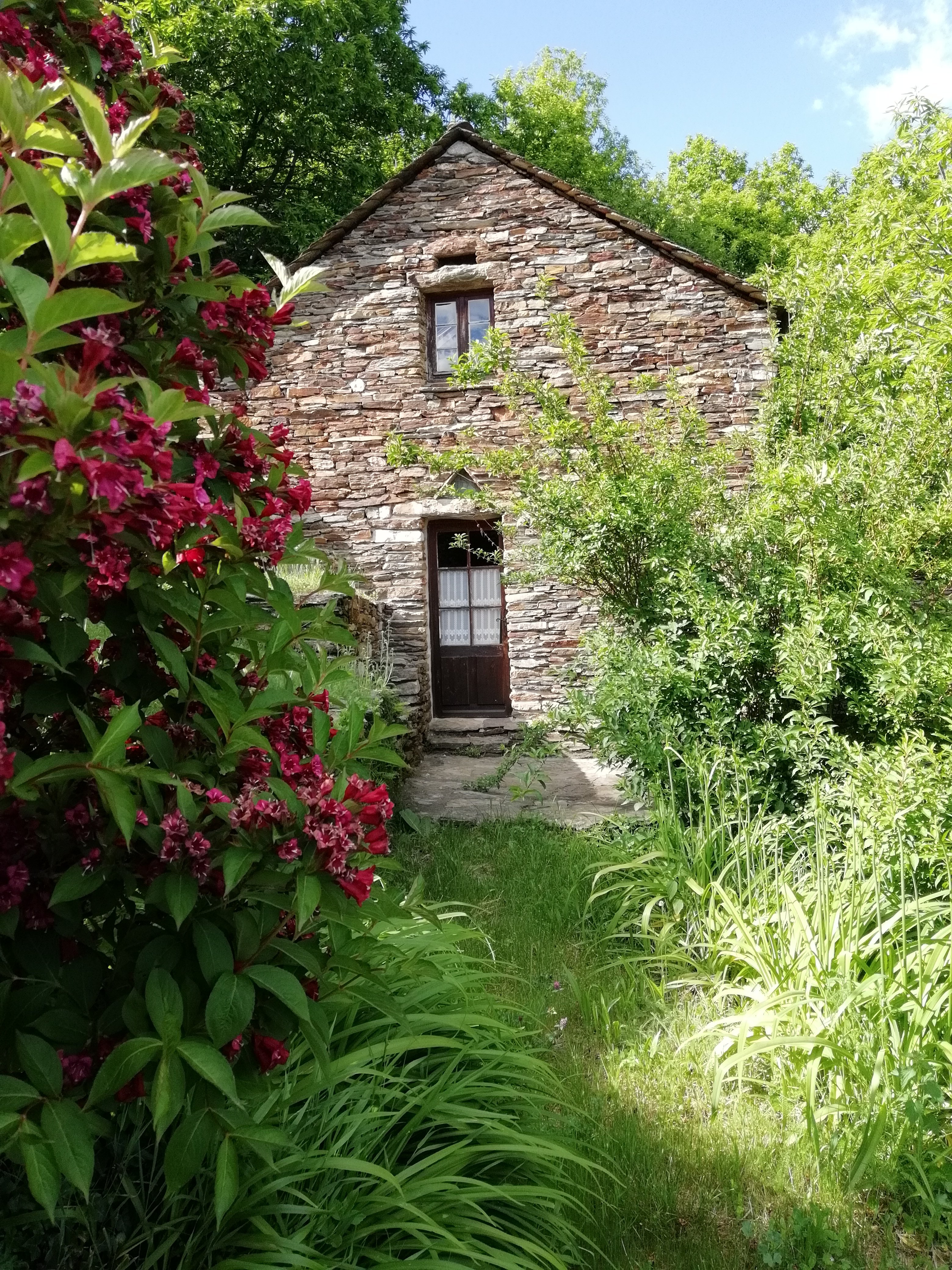 LA FOUON DEL POUS, Ventalon en Cévennes - photo 6