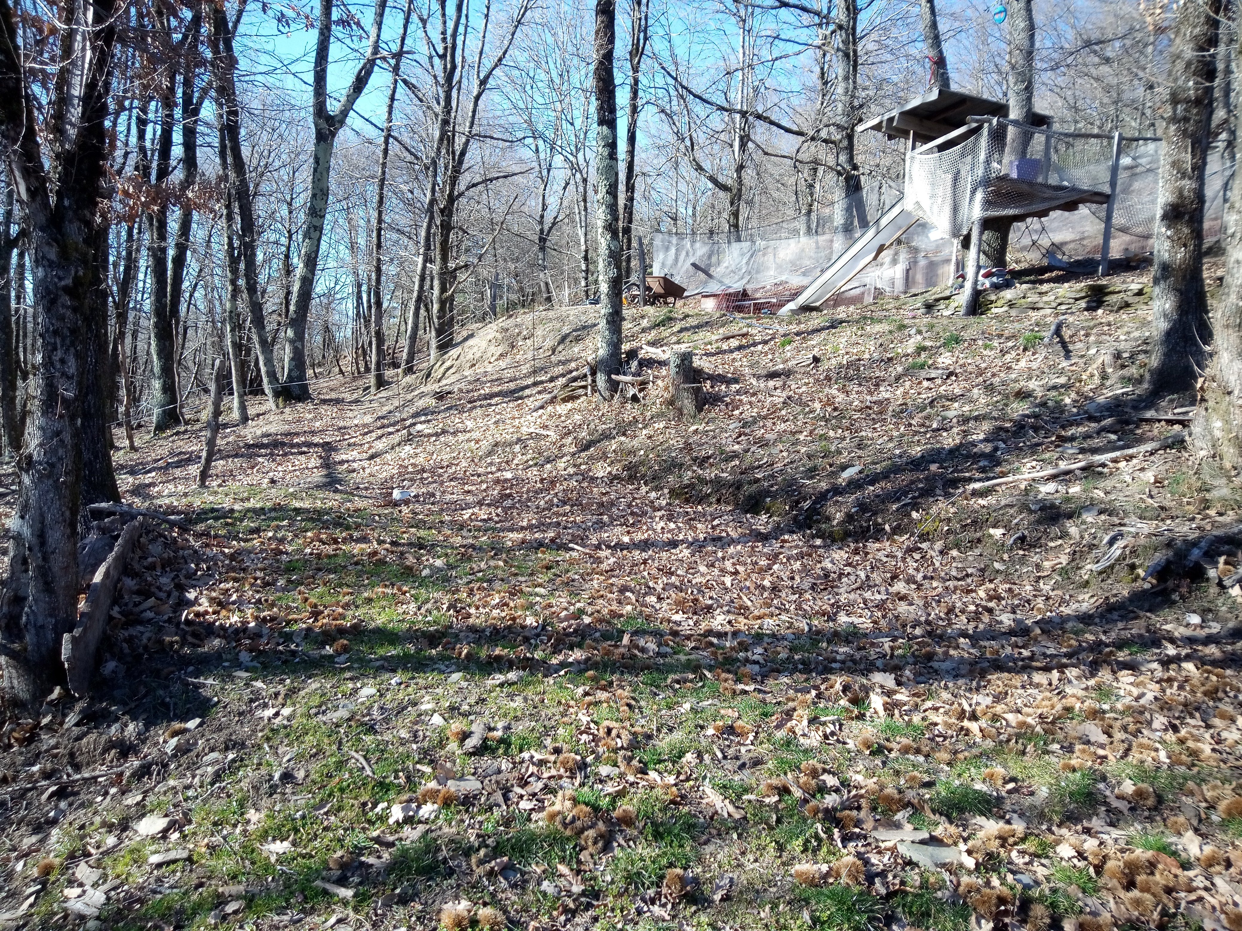 FERME EQUESTRE DES MOURENES photo 2