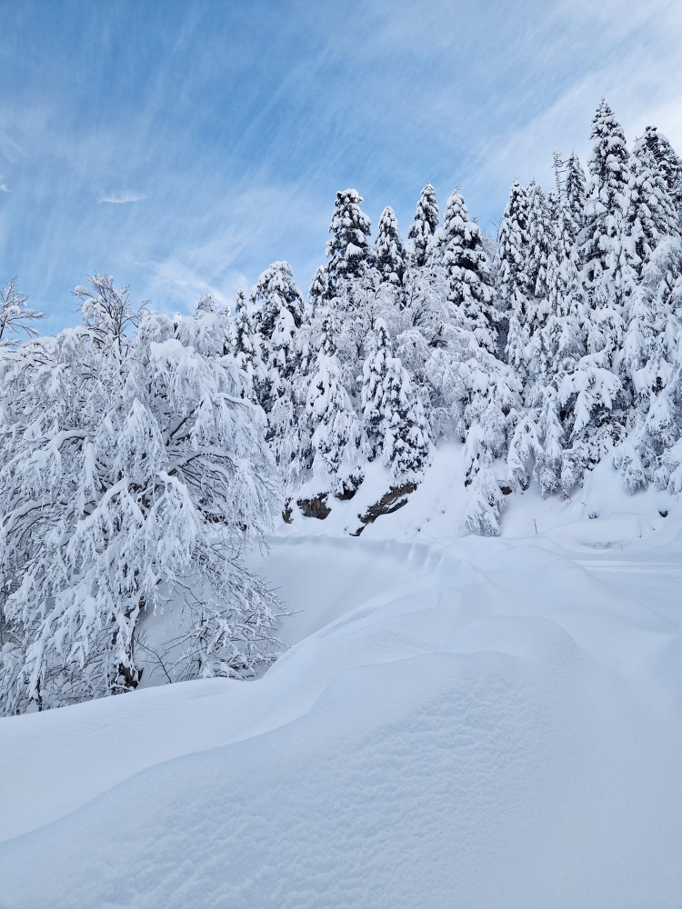 CHALET, Pourcharesses - photo 8