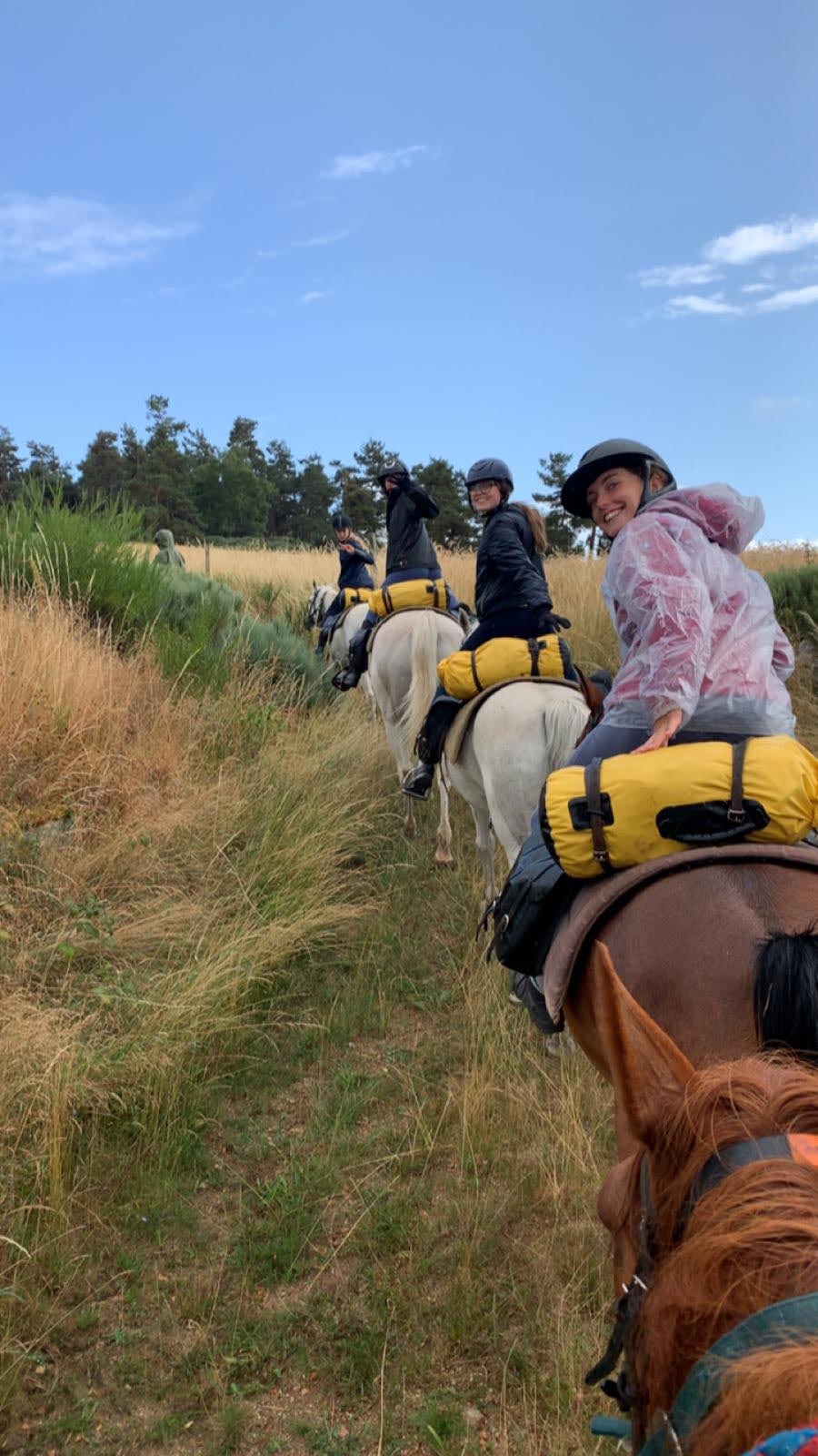 LES ECURIES DE PALHERES, Rocles - photo 8