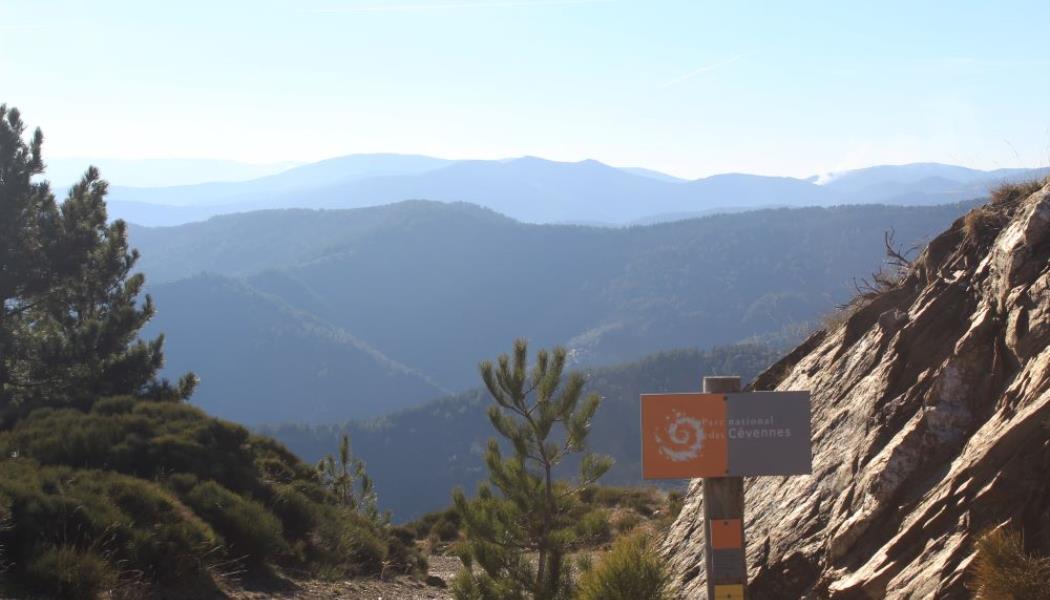 à deux pas du parc national des Cévennes, dont nous sommes partenaires