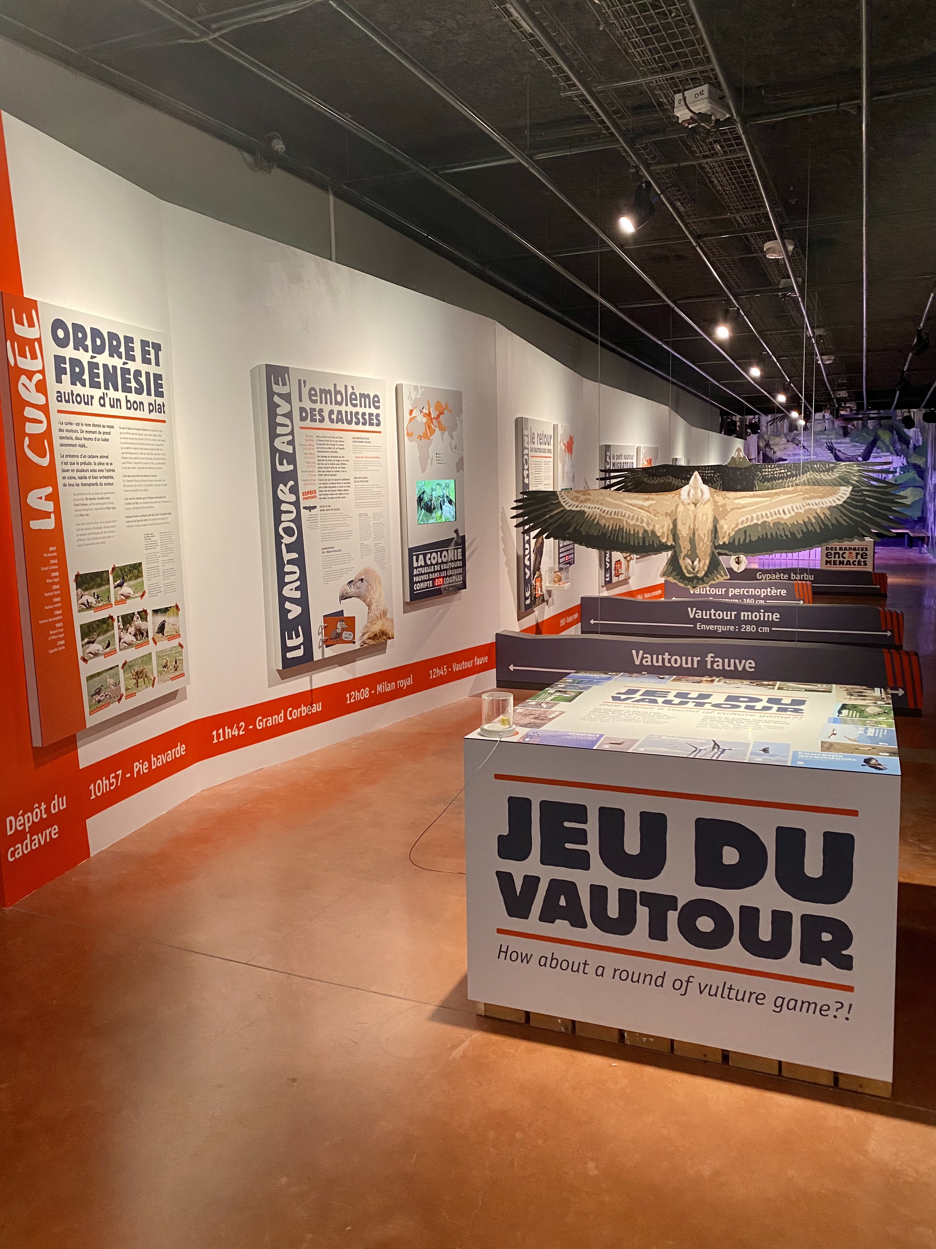 MAISON DES VAUTOURS - photo 5