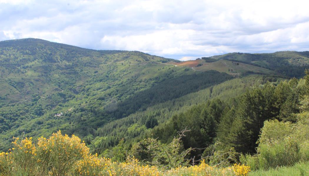 à la découverte des Cévennes
