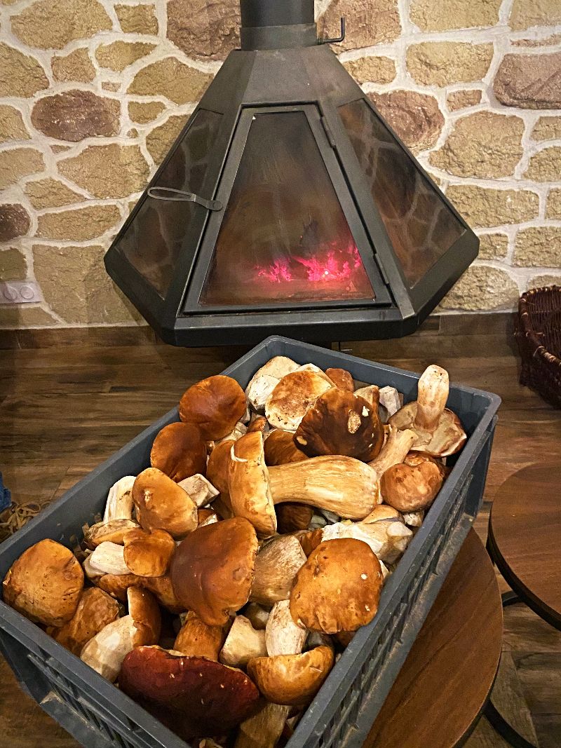 GÎTE L'OR DES CÉVENNES