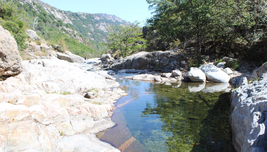 Des balades et des coins de rivière...