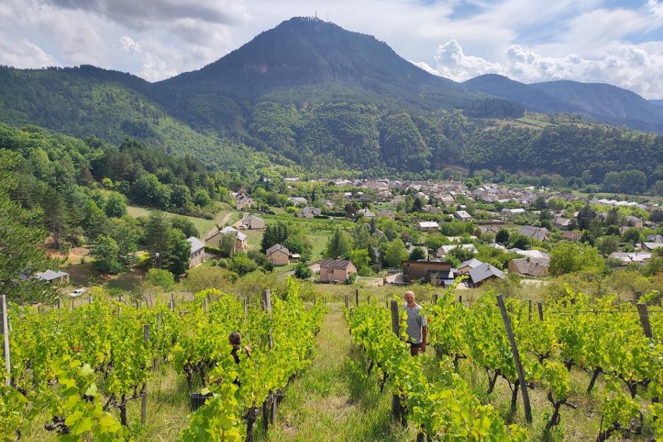 IMG_domaine marin paquereau d 