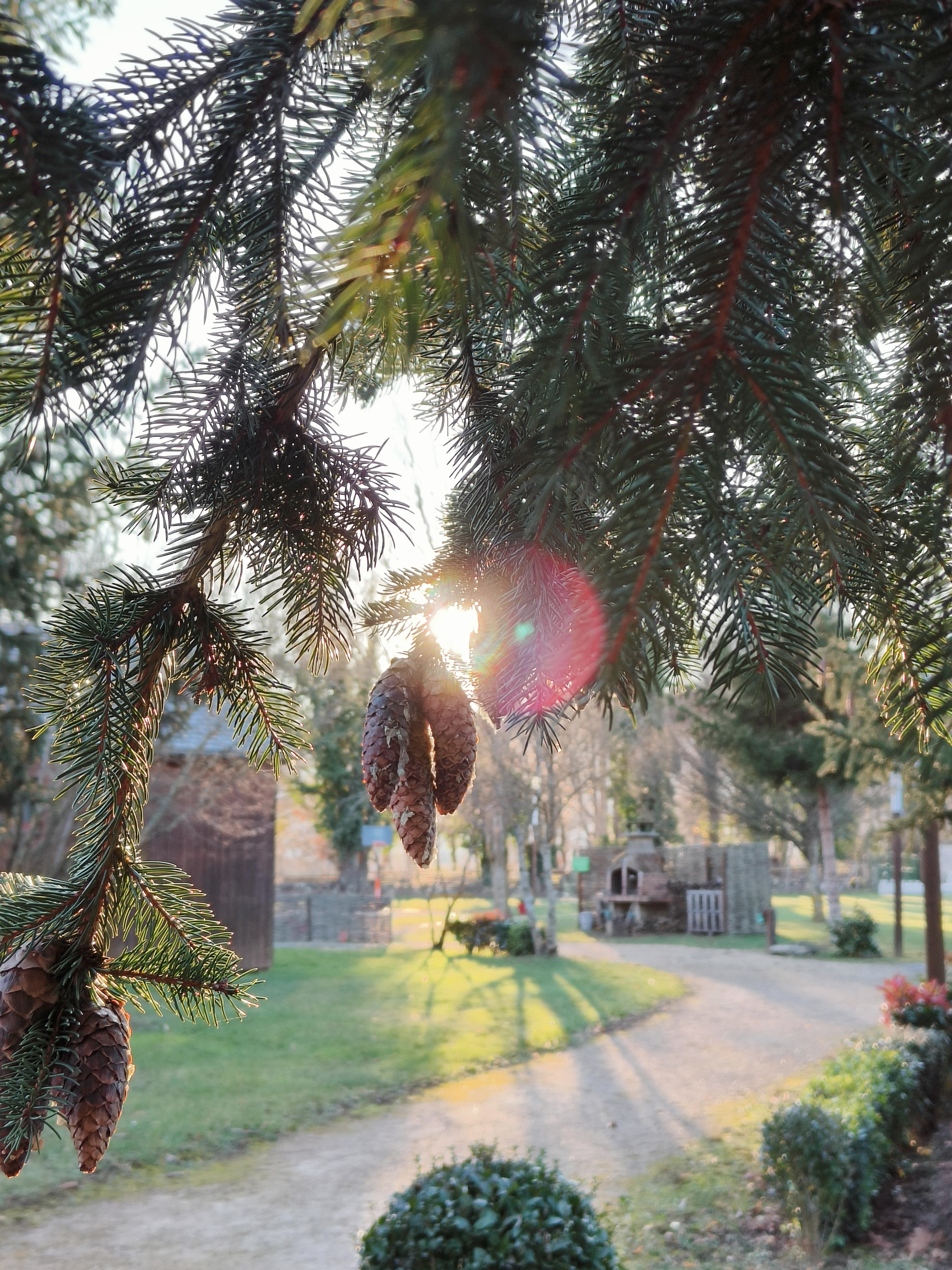 CHALETS DE LA COLAGNE 1/5 PERSONNES CONFORT PLUS, Bourgs sur Colagne
