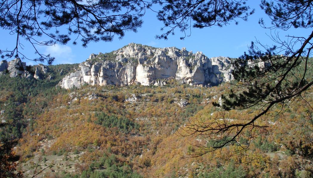 GR 736 - Linéaire des Gorges du Tarn
