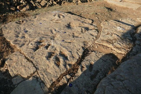 FOUILLES PALÉONTOLOGIQUES SUR LE CAUSSE MÉJEAN
