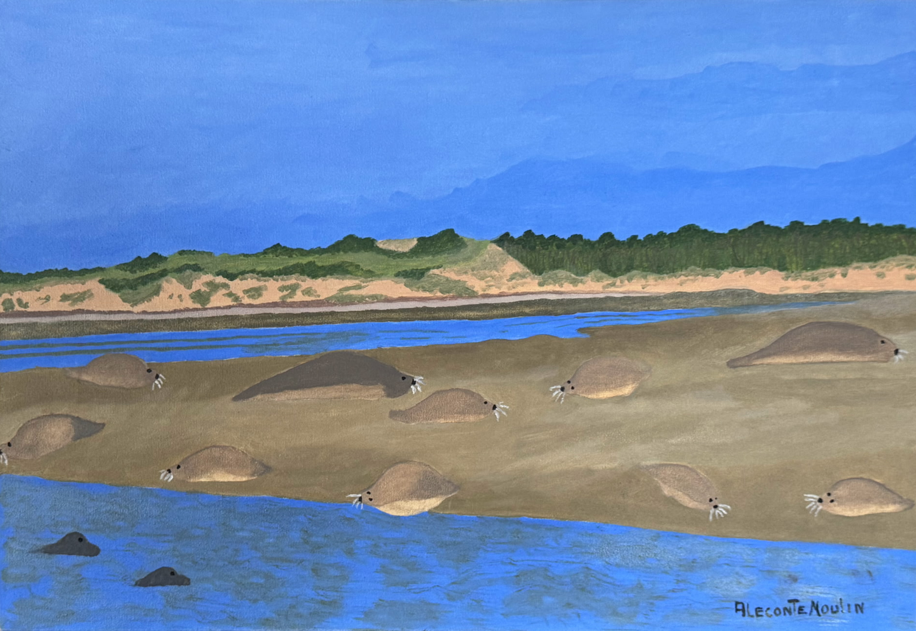 DE LA BAIE DE SOMME AUX COULEURS DU SUD
