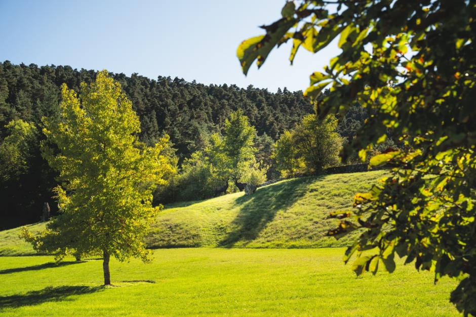 KIT PHOTOS INTERNET DLV - 2 