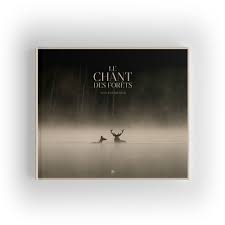 CINECO : LE CHANT DES FORETS