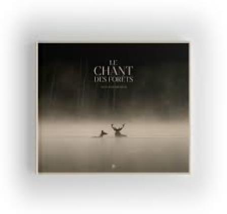 LE CHANT DES FORETS