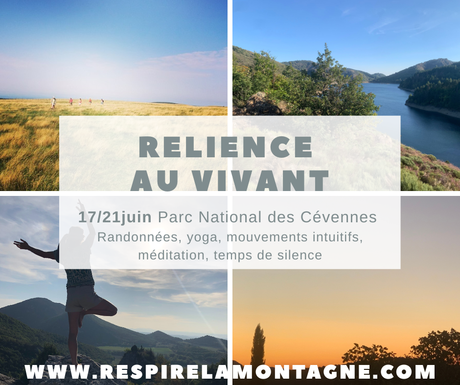 STAGE RELIENCE AU VIVANT