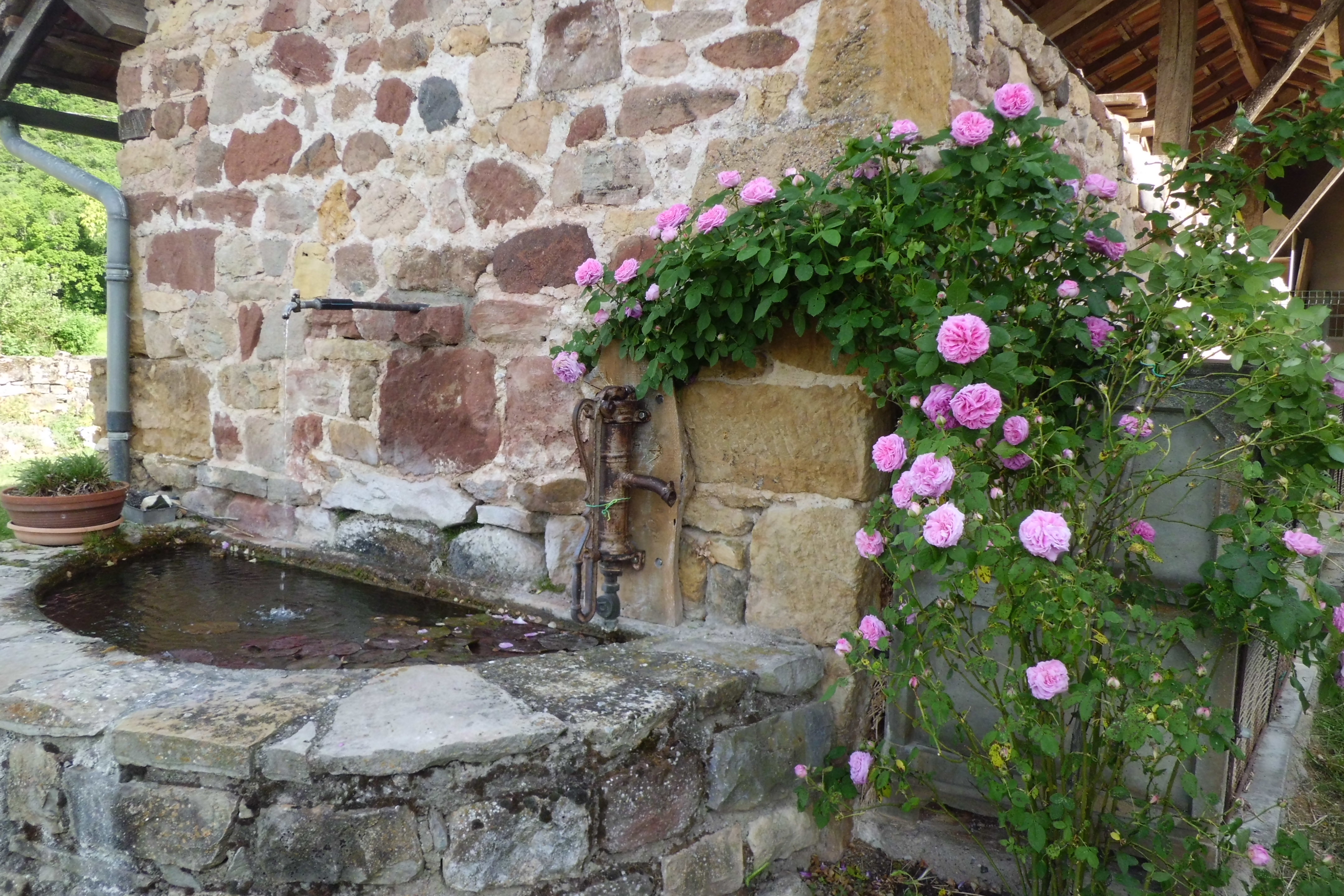 VALENTIN RENE, La Canourgue - photo 18