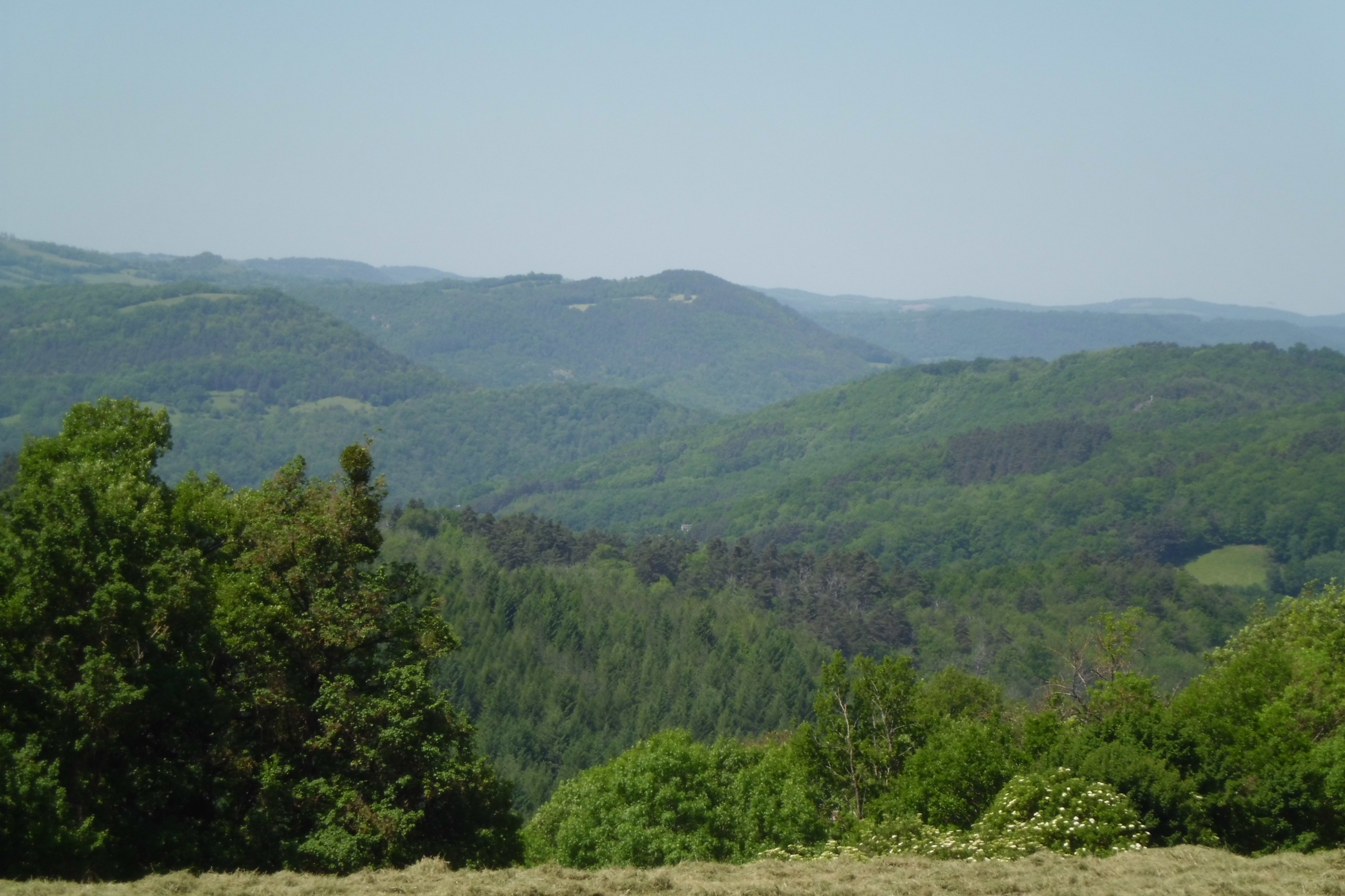 VALENTIN RENE, La Canourgue - photo 14