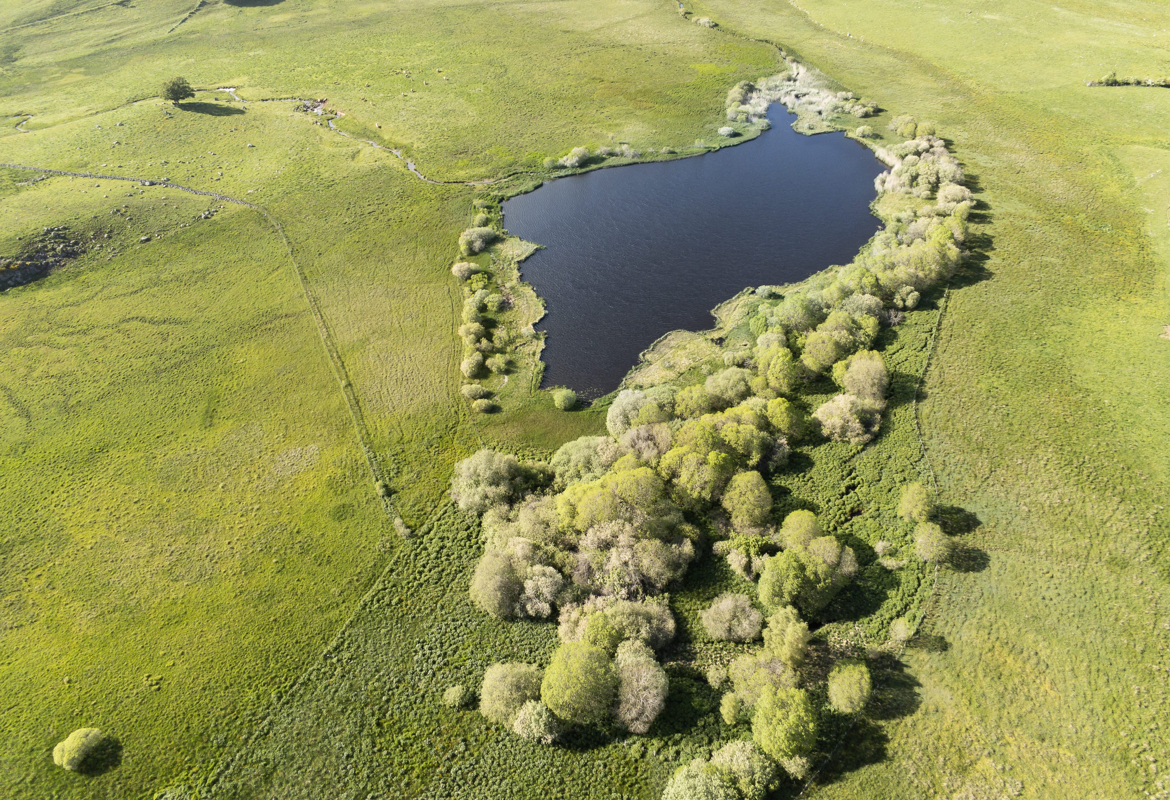 LAC ET TOURBIERE DE SOUVEYROLS