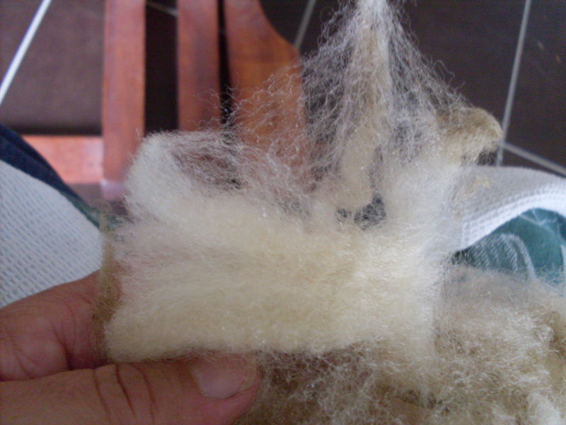 MAISON D'ARTISTE - photo 3