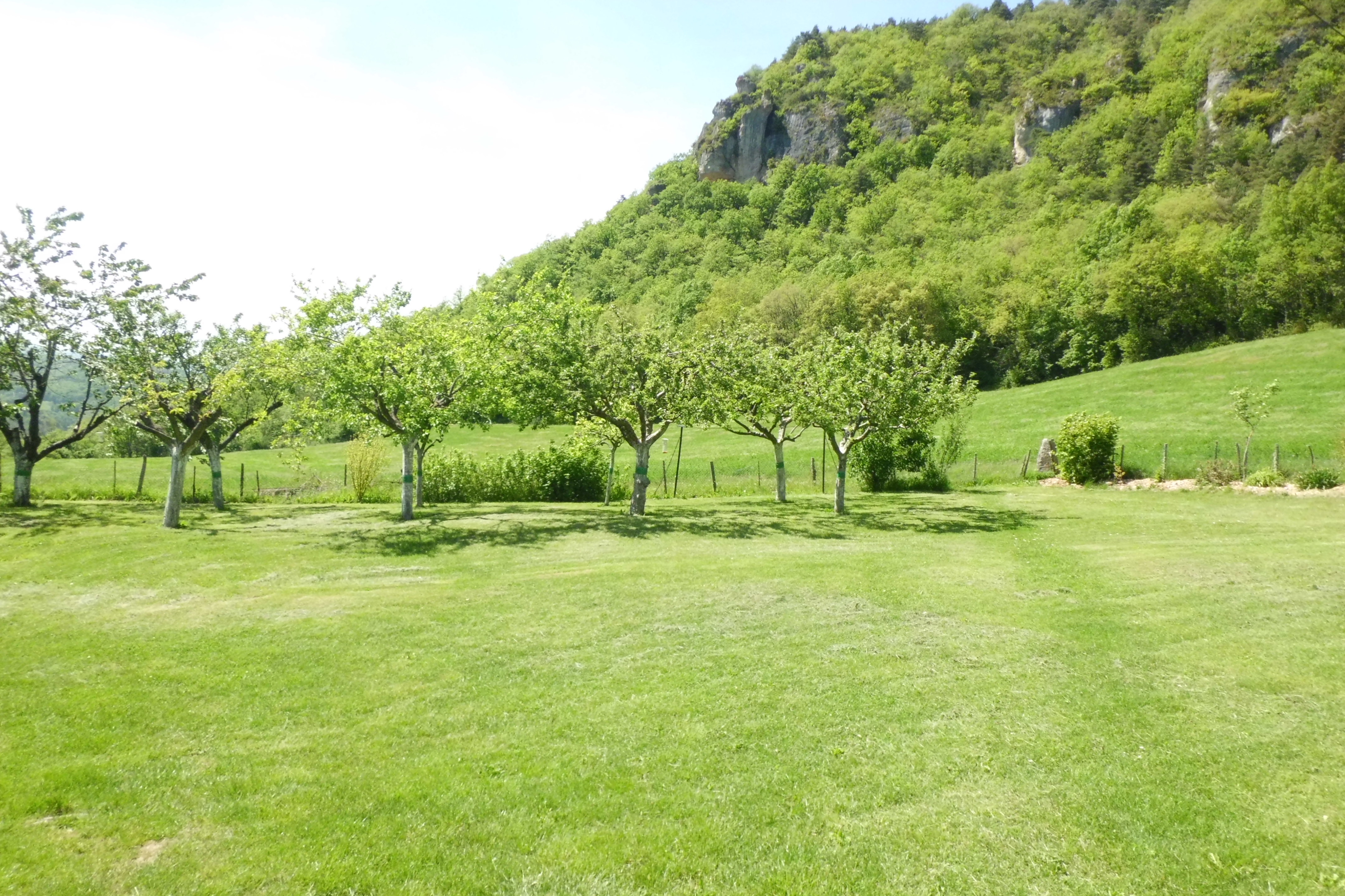 VALENTIN RENE, La Canourgue - photo 11