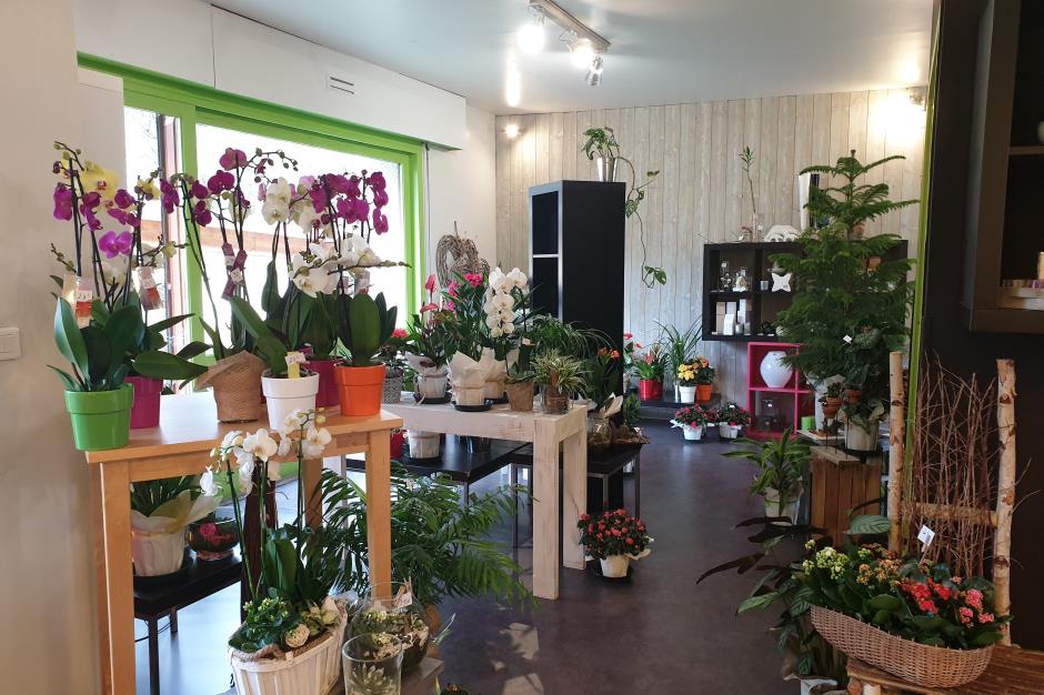 Le-jardin-interieur-1 