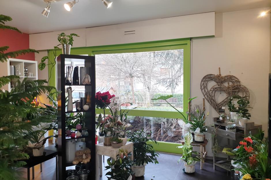 Le-jardin-interieur-2 