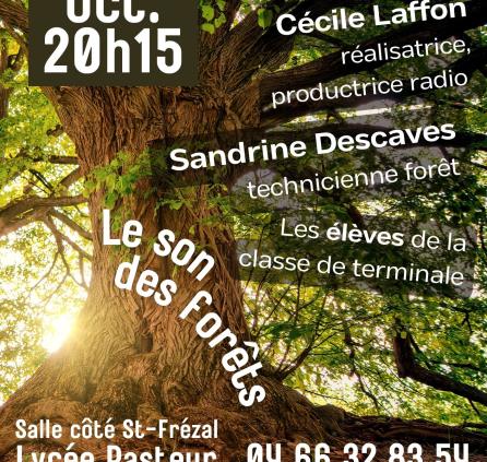 Le son des forêts