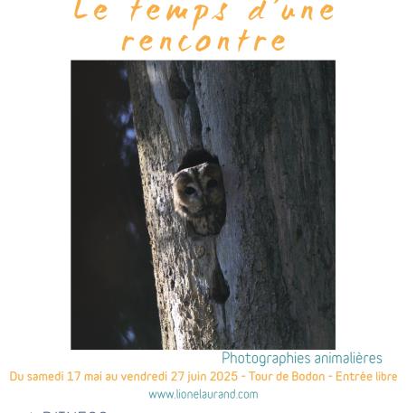 Le temps d'une rencontre - Lionel Aurand