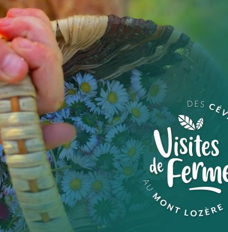 Les-Secrets-Des-Cevennes
