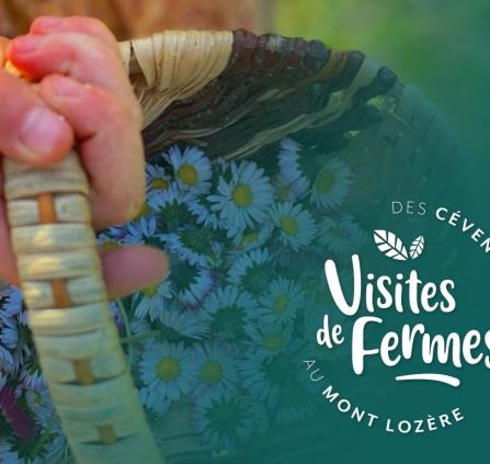Les-Secrets-Des-Cevennes