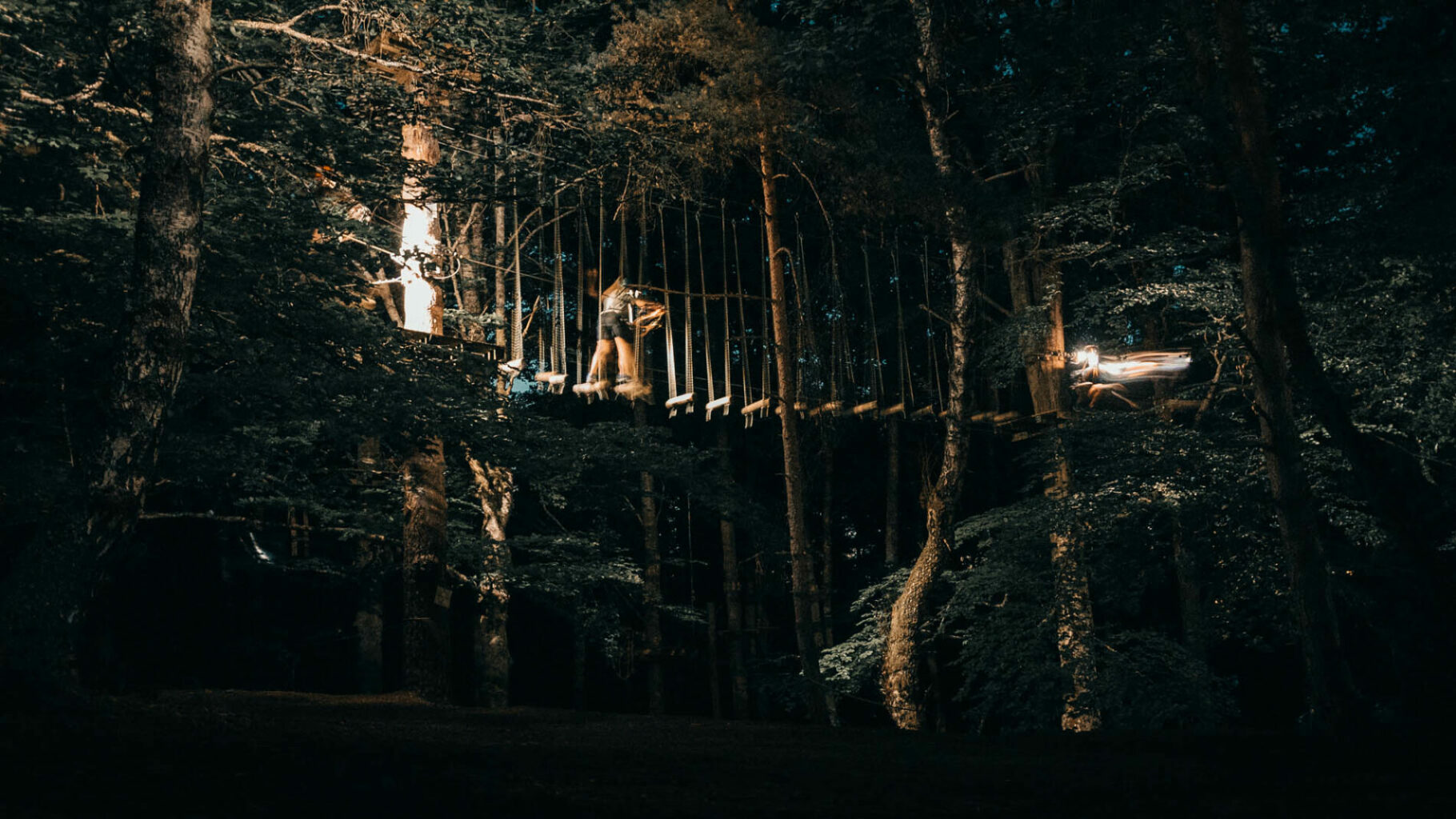 RONDIN PARC : ACCROBRANCHE NOCTURNE