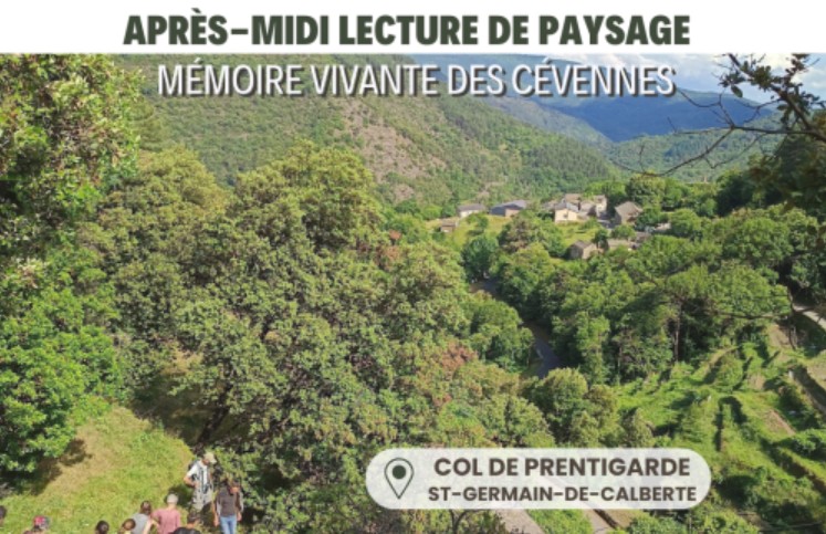LIRE LE PAYSAGE, MÉMOIRE VIVANTE DES CÉVENNES