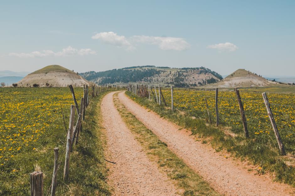 MontLozere© S Mioni (144) 