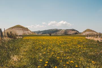MontLozere© S Mioni (160)