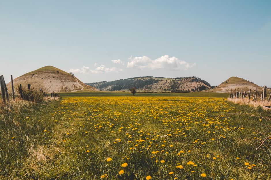 MontLozere© S Mioni (160) 