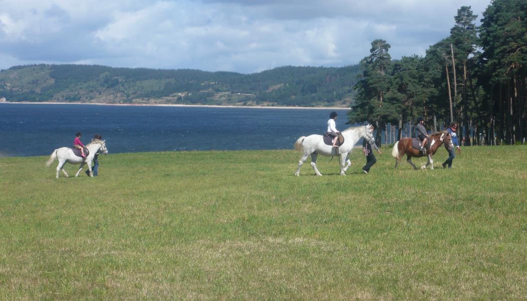 Promenade à poneys au bord du Lac 
