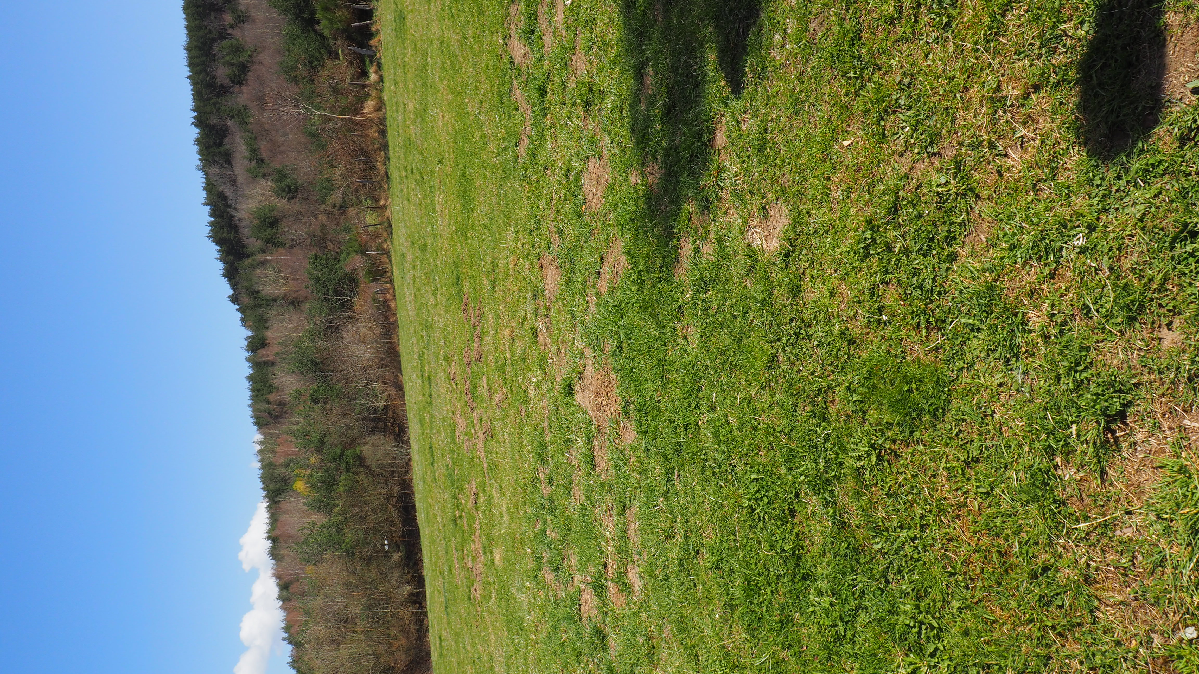 LE PETIT GÎTE DE LA BASTIDE - photo 4