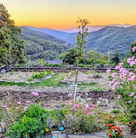 PHOT_Visites_de_fermes_26_Jardin