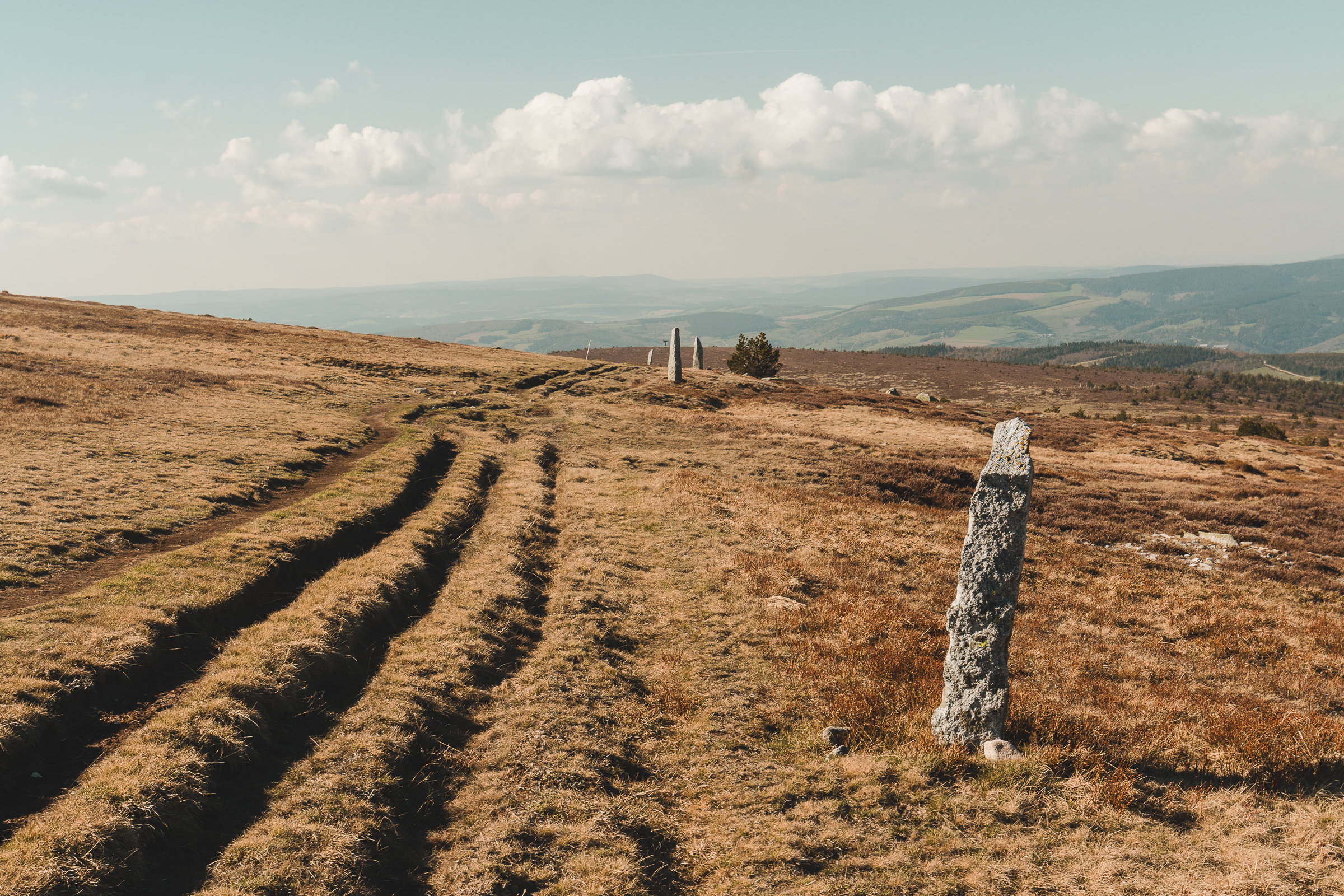 LE MONT-LOZERE, Mont Lozère et Goulet - photo 2