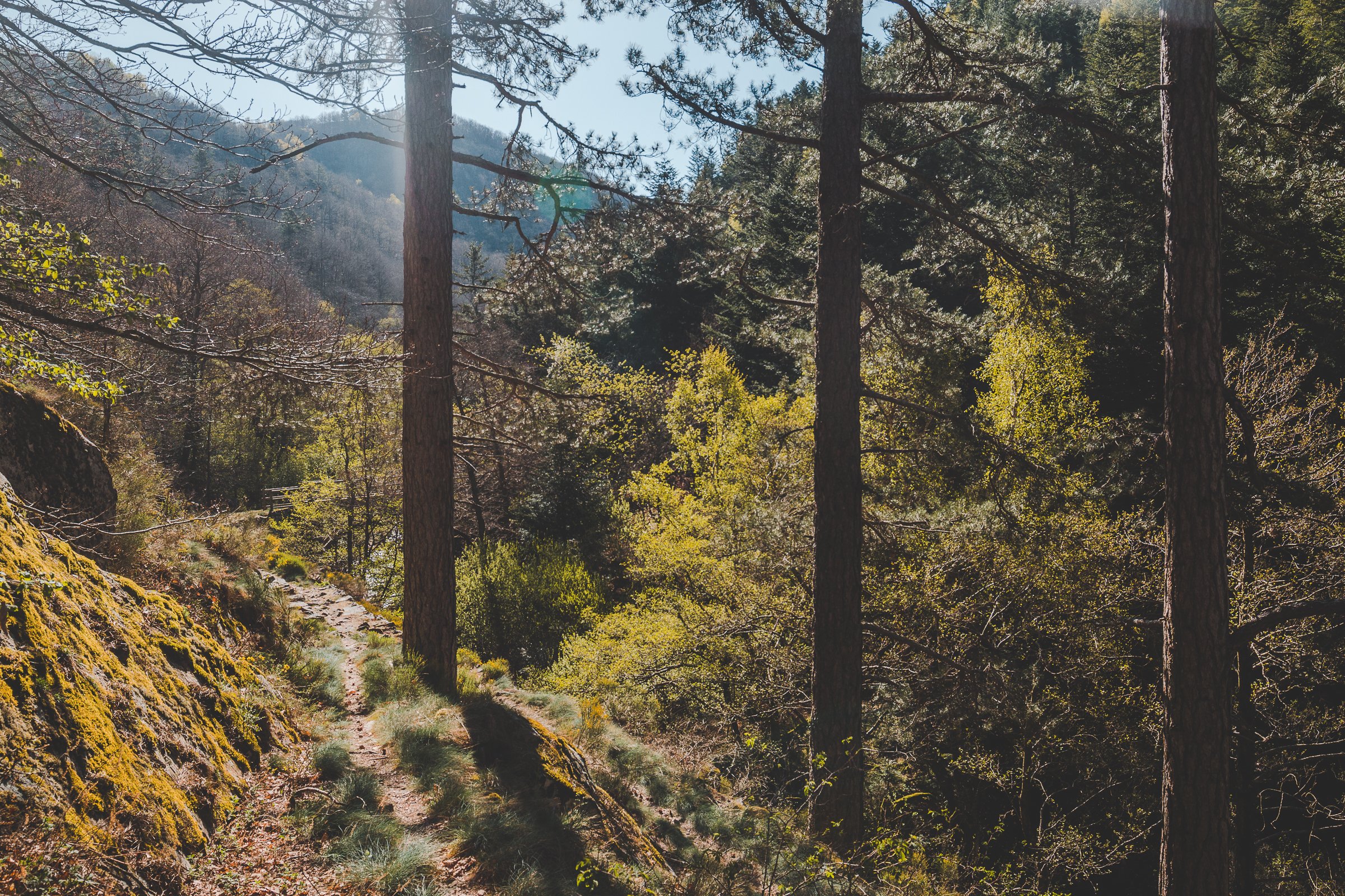 GORGES DU BRAMONT - photo 5