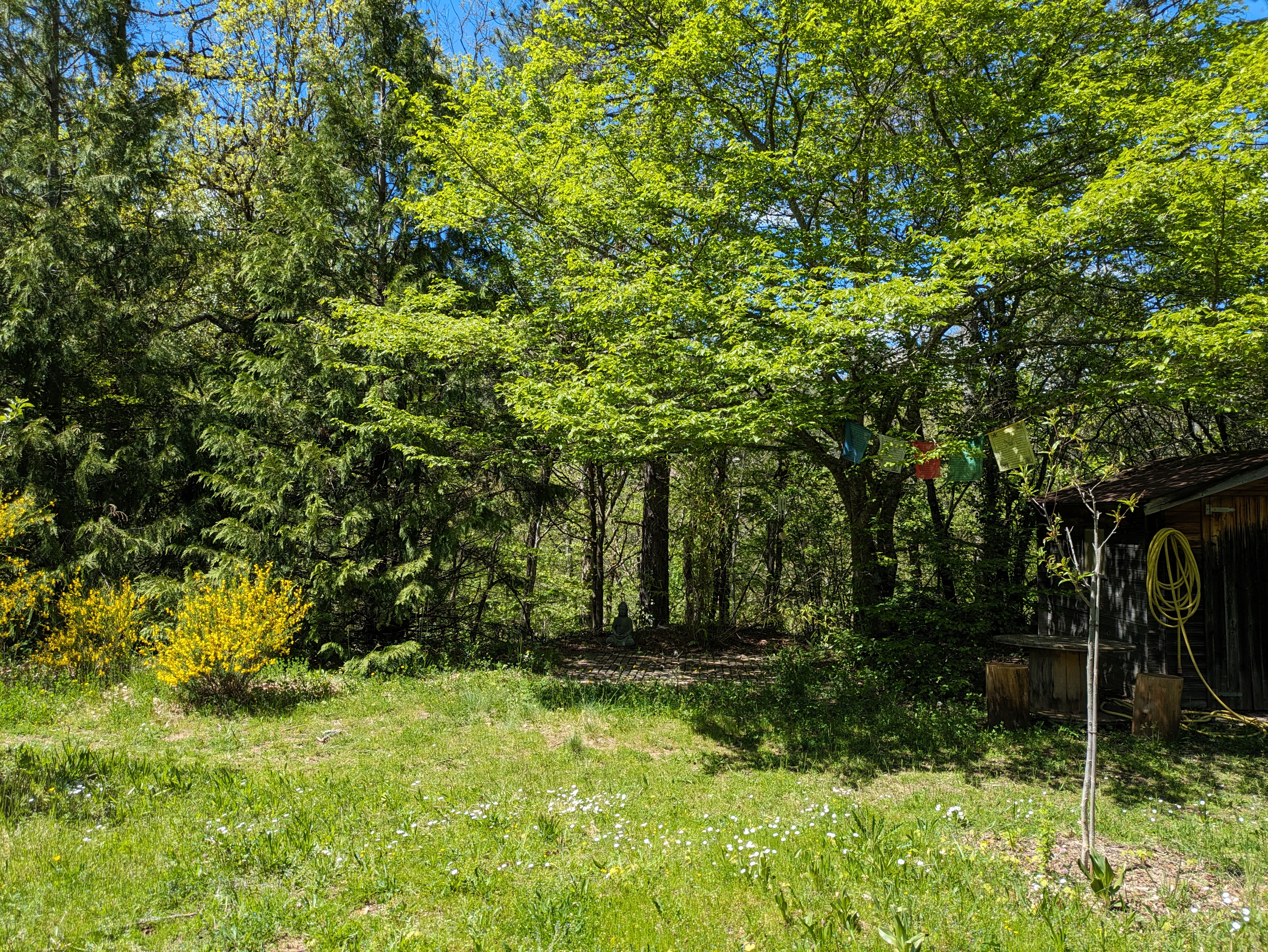 LE SHALA DE LOZERE, Balsièges - photo 5