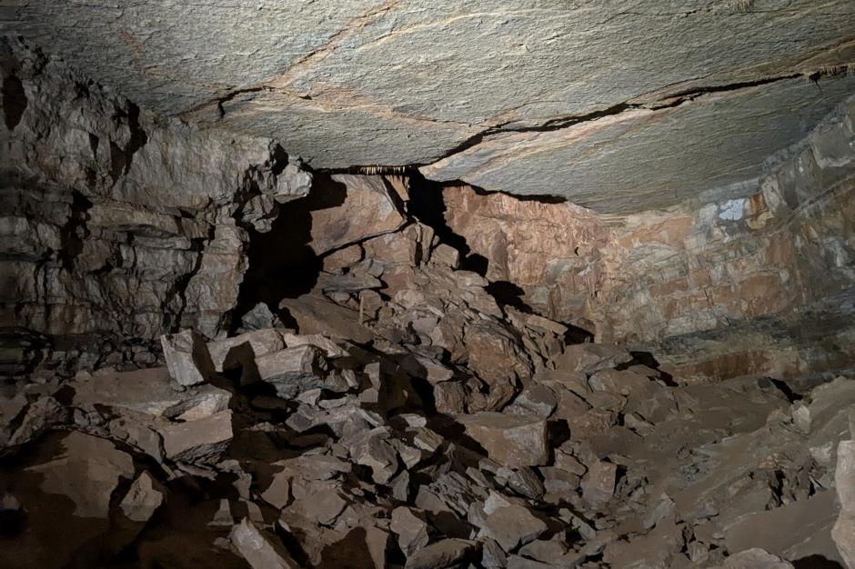 PXL_20251025_082045176 