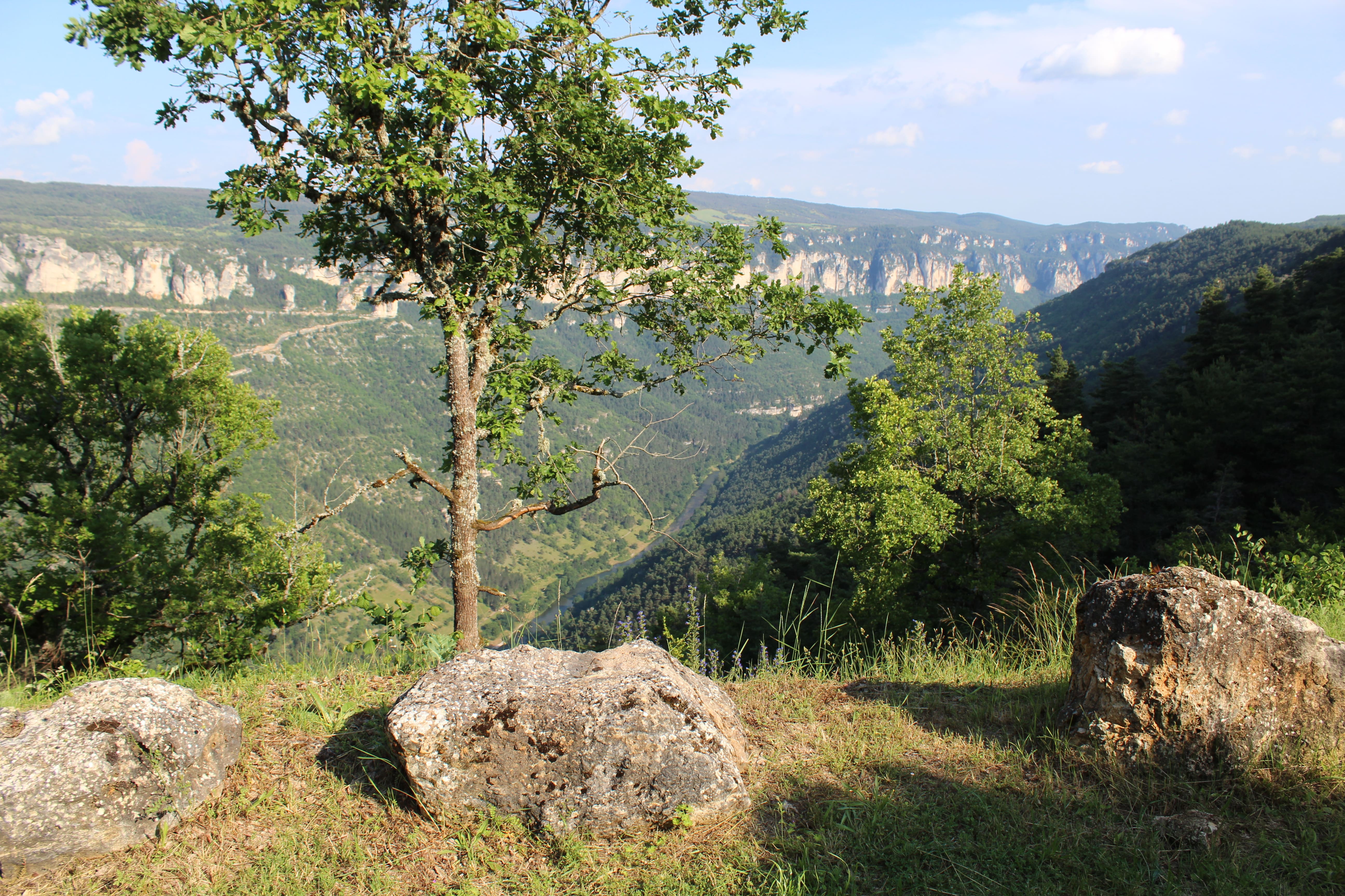 CAMPING MUNICIPAL "AUX PORTES DU SAUVETERRE" photo 3