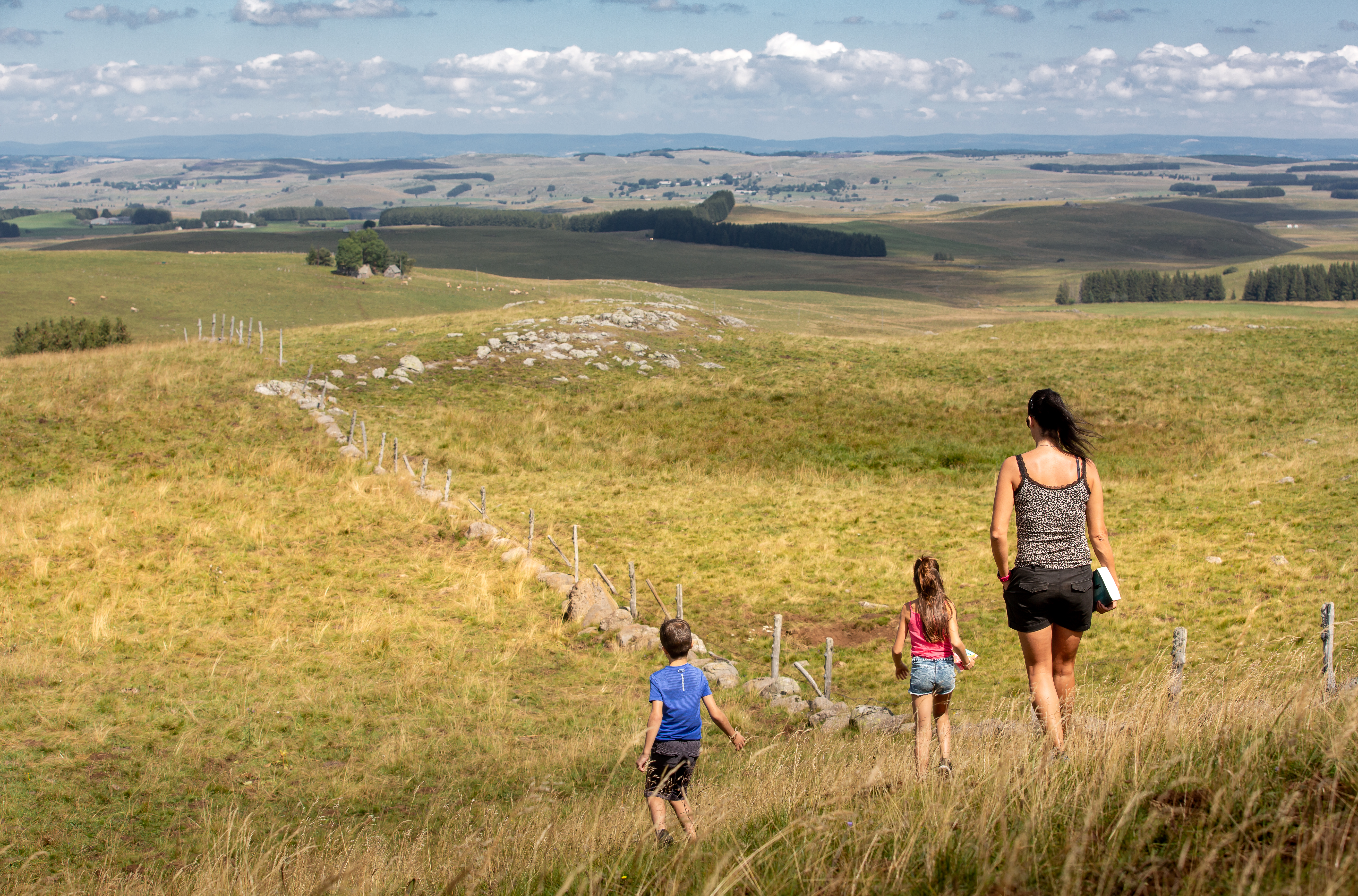 PLATEAU DE L'AUBRAC